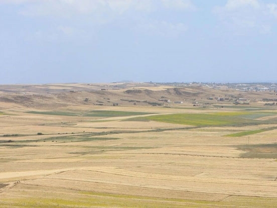 Paysage de plaine en Tunisie