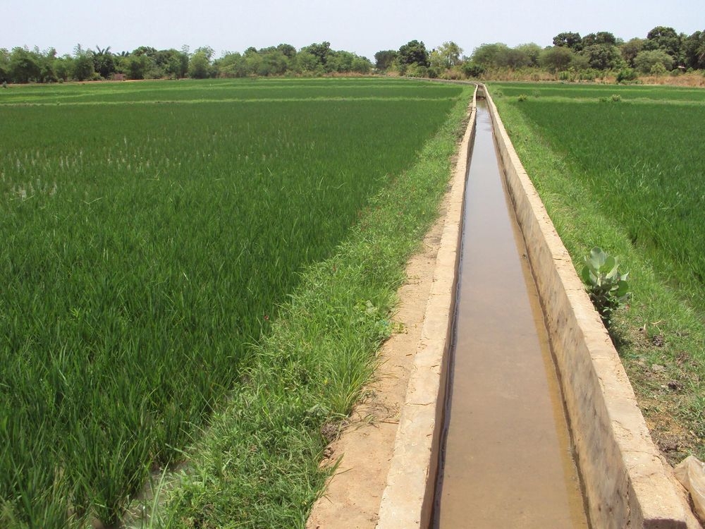 Système d'eau dans un champ 