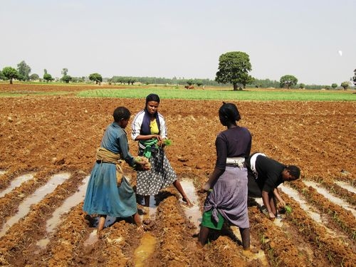 alt-4 femmes pratiquant l'agriculture