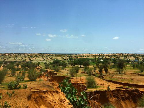 Grande muraille verte en Mauritanie