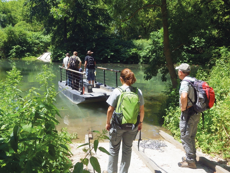 Traversée du bac dans la RNN de la Platière