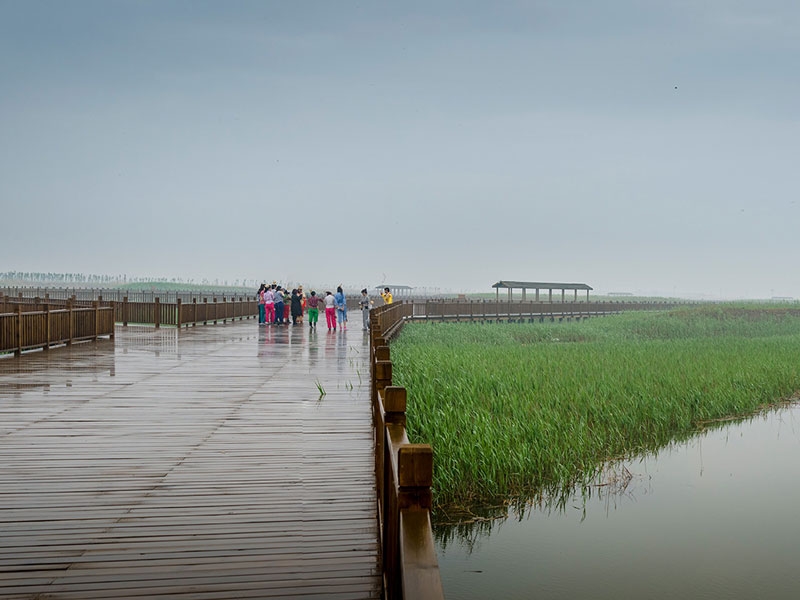 Panorama de Panjin en Chine