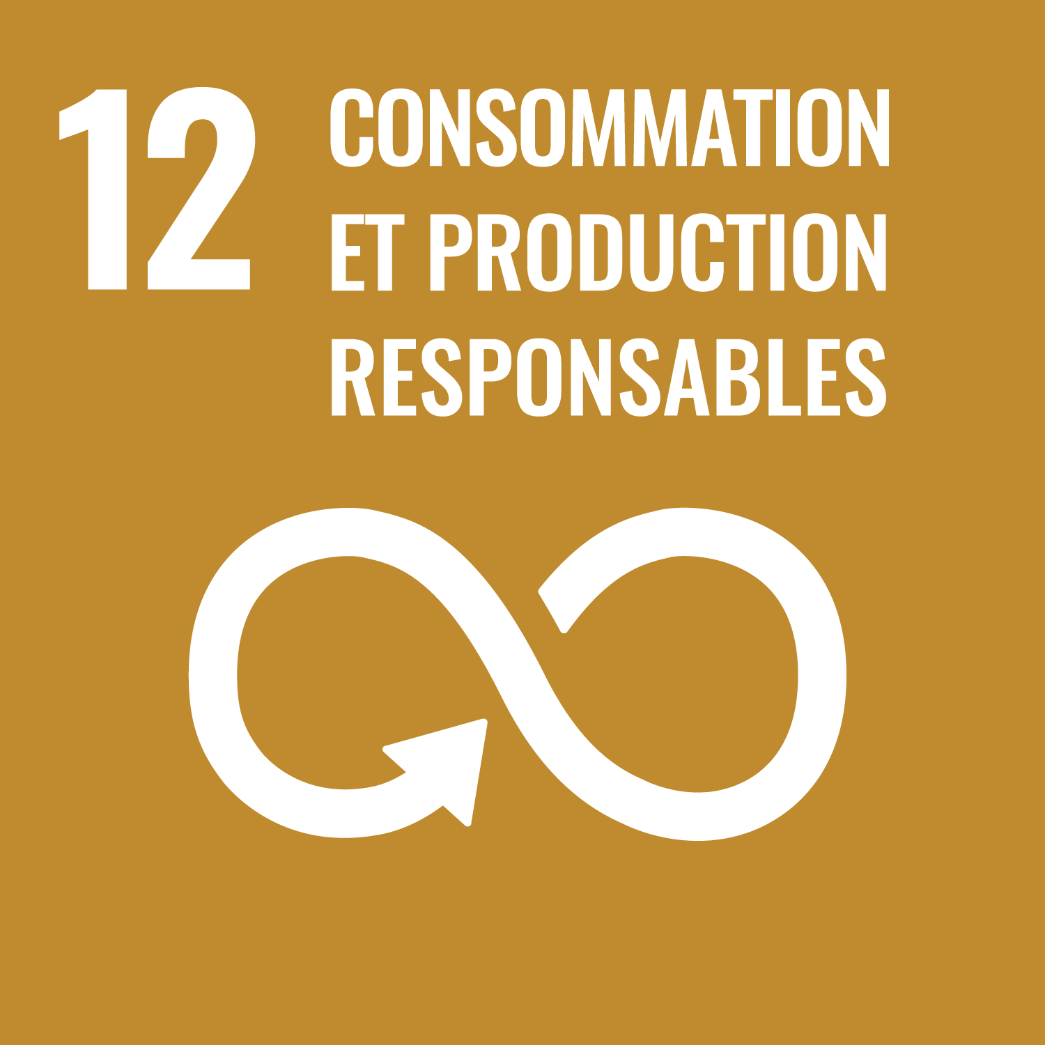 12 - Consommation et production responsables