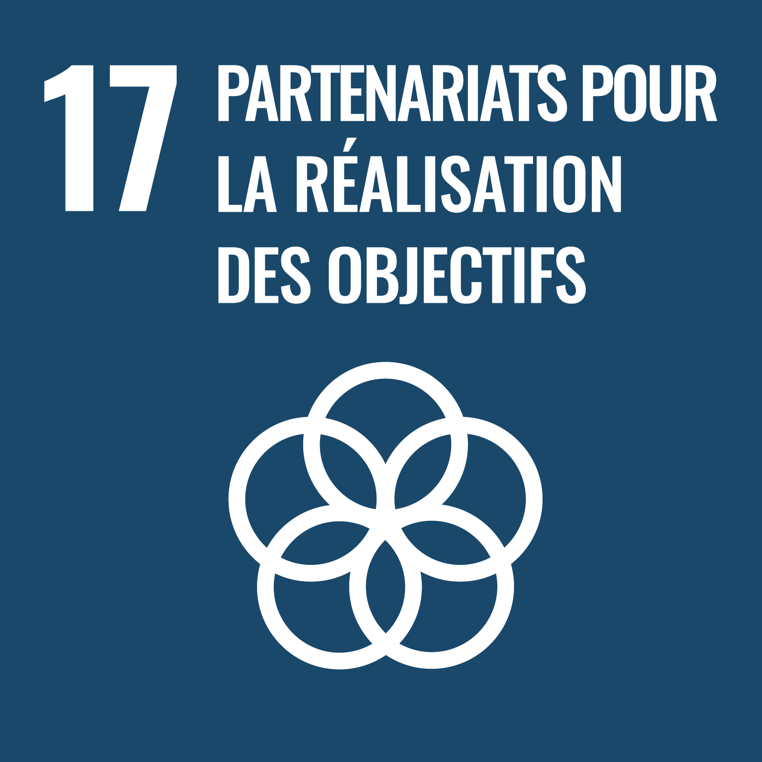 17 - Partenariats pour la réalisation des objectifs