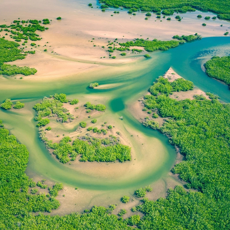 Fleuve Sénégal 