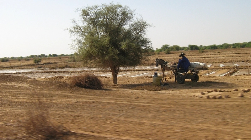 Sénégal homme sur dos dâne 