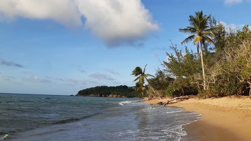 Martinique