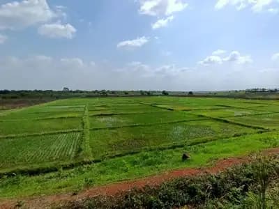 Hydroagriculture au Bénin