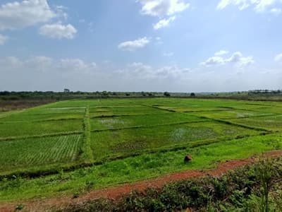 Hydroagriculture au Bénin
