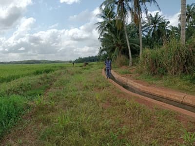 Hydroagriculture au Bénin