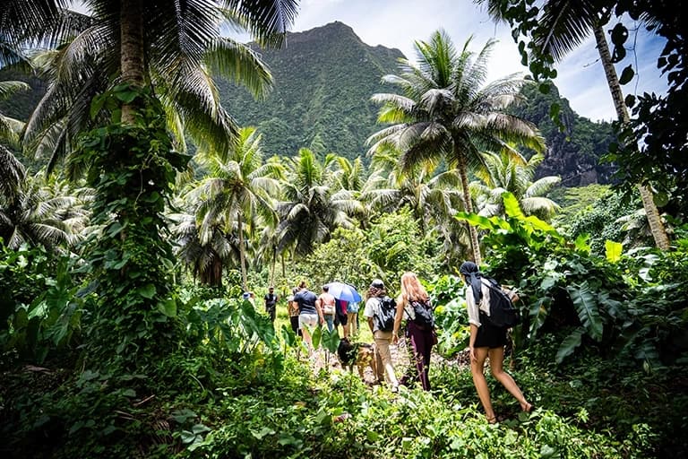 Randonnée dans une forêt tropicale