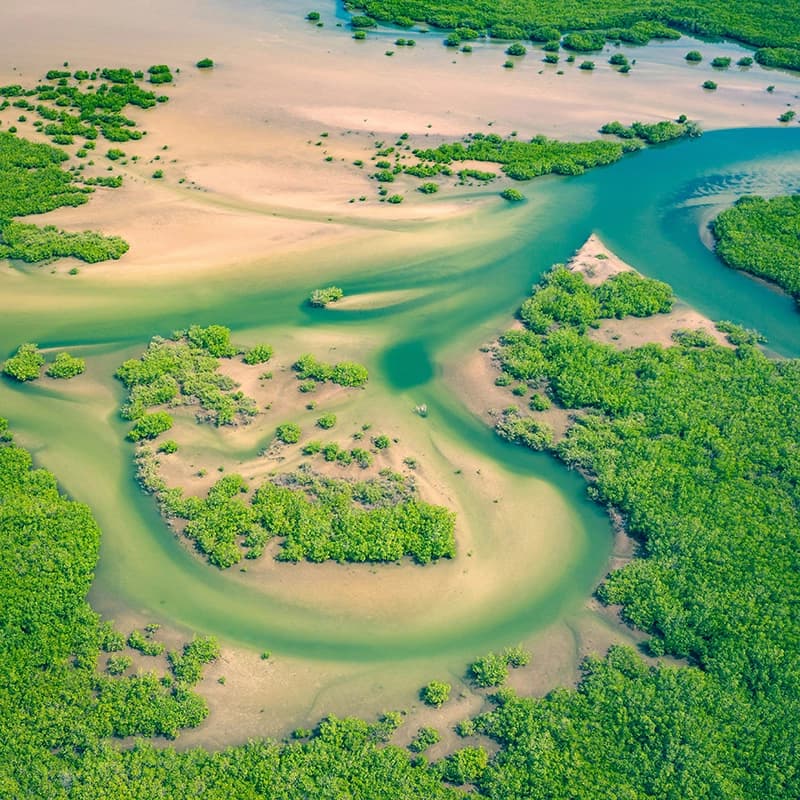 Fleuve Sénégal 
