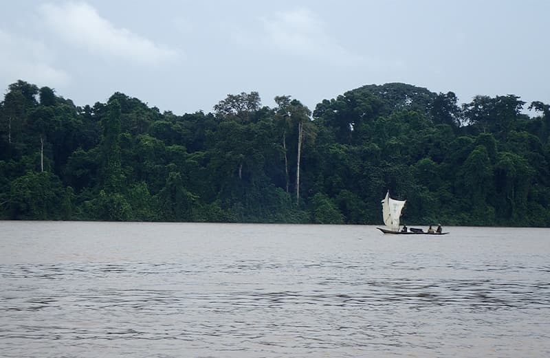 Fleuve Sanaga et sa zone estuarienne avec bateau à voile au loin