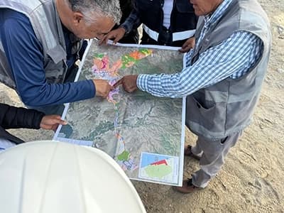 Personnes qui regarde un plan 