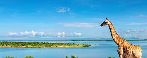 Support cooperation on transboundary waters in the Nile basin
