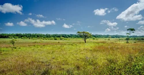 Évaluation d’un portefeuille de projets autour de leurs notations développement durable (DD)