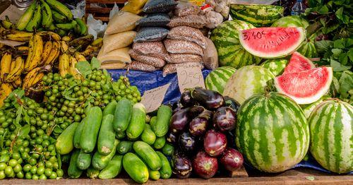 Accompagnement à la conception et à la mise en œuvre du volet régional du Plan Stratégique National en Guyane 